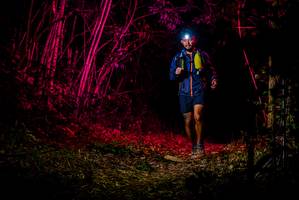 BIB: 
                            <button type="button" onclick="openModal(7013978)" class="btn btn-primary btn-sm float-right btn-popup" data-toggle="modal" data-target=".modal-high-quality">
                        <i class="fas fa-shopping-cart"></i> Add to Cart
                    </button>
                                            <button type="button" onclick="isThisMe(7013978, true)" class="btn btn-success btn-sm float-right btn-popup btn-isme hidden" data-toggle="tooltip" data-placement="bottom" title="นี่คือรูปของคุณใช่ไหม คลิกที่นี่เพื่อเอาเข้าอัลบั้ม">
                        <i class="fas fa-plus"></i> Add to album
                    </button>
                    <button type="button" onclick="isThisMe(7013978, false)" class="btn btn-warning btn-sm float-right btn-popup btn-isnotme hidden">
                        <i class="fas fa-ban"></i> Remove from album
                    </button>